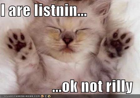 listnin lolcat